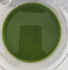 Maximiser la croissance des plantes avec des engrais solubles pour algues EINECS n° 700-983-2