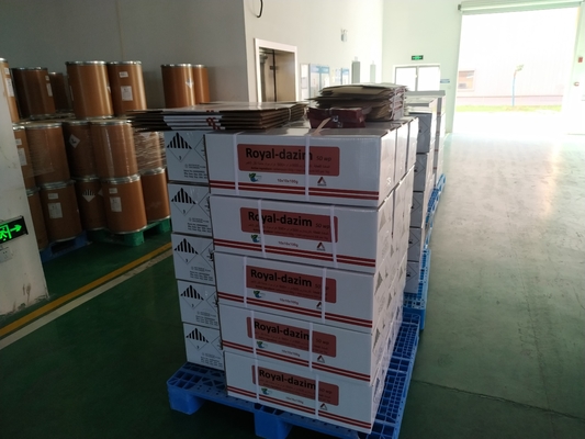 Carbendazim 500g/l SC 98% TC 25% WP Fungicide pour la prévention et le contrôle des maladies des cultures